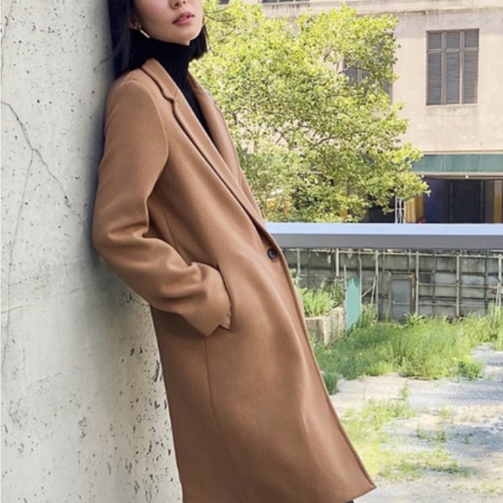 Aritzia Babaton Wool Coat - Picture 5 of 5